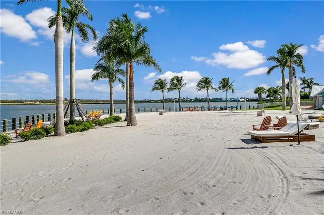 a view of lake with palm trees