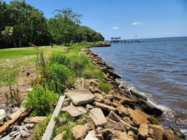 a view of a pathway both side of yard
