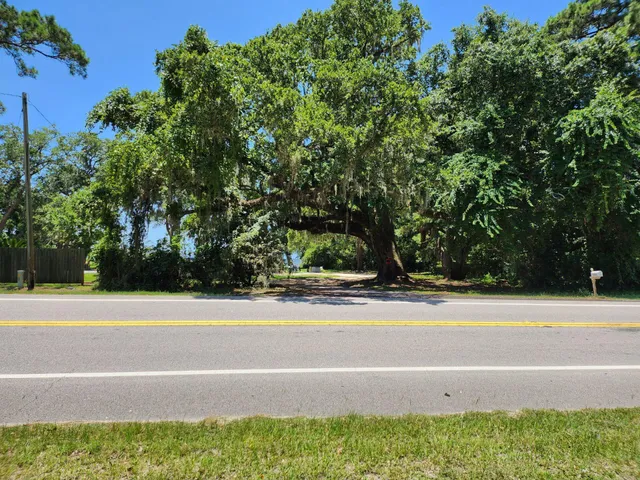 a view of backyard with tree