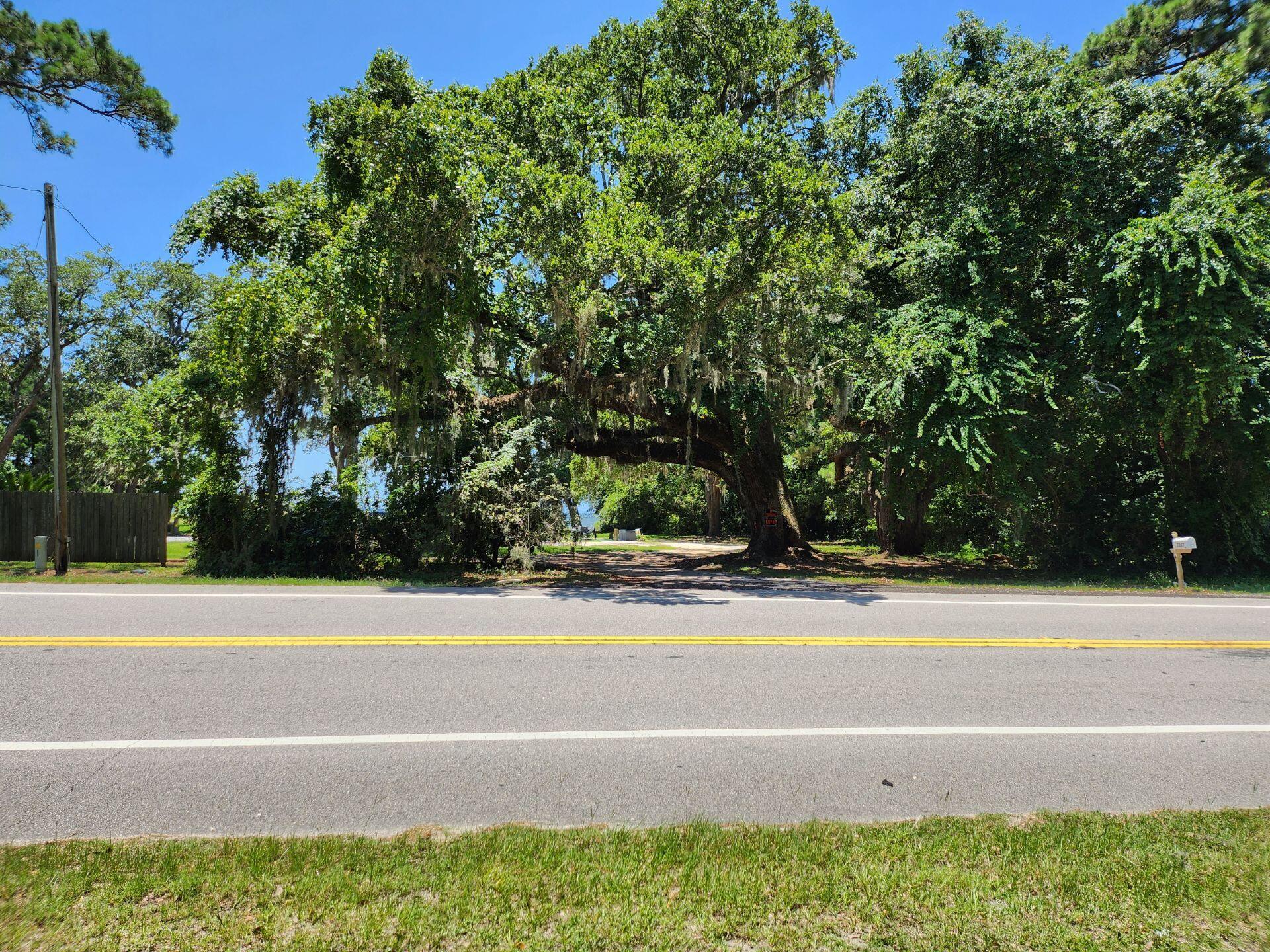 7397 Highway 20 Freeport, FL 32439 - Photo 12 of 23 a view of a swimming pool and a yard