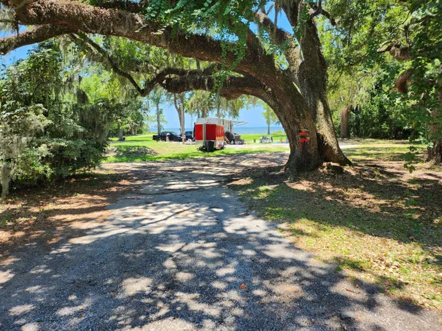 a view of a backyard with a small cabin