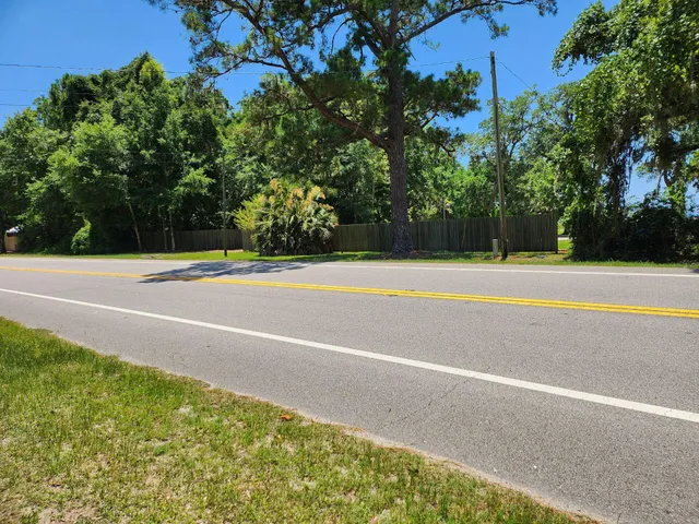 a view of backyard with tree