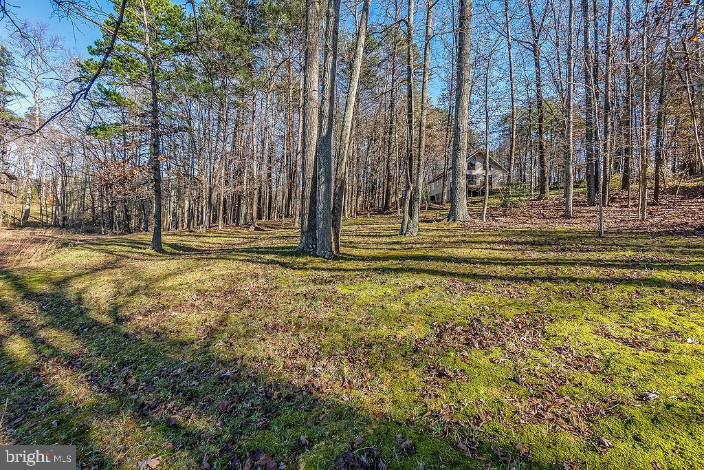 11053 Lucks Road Bumpass, VA 23024 - Photo 13 of 60 Gallery Image 13