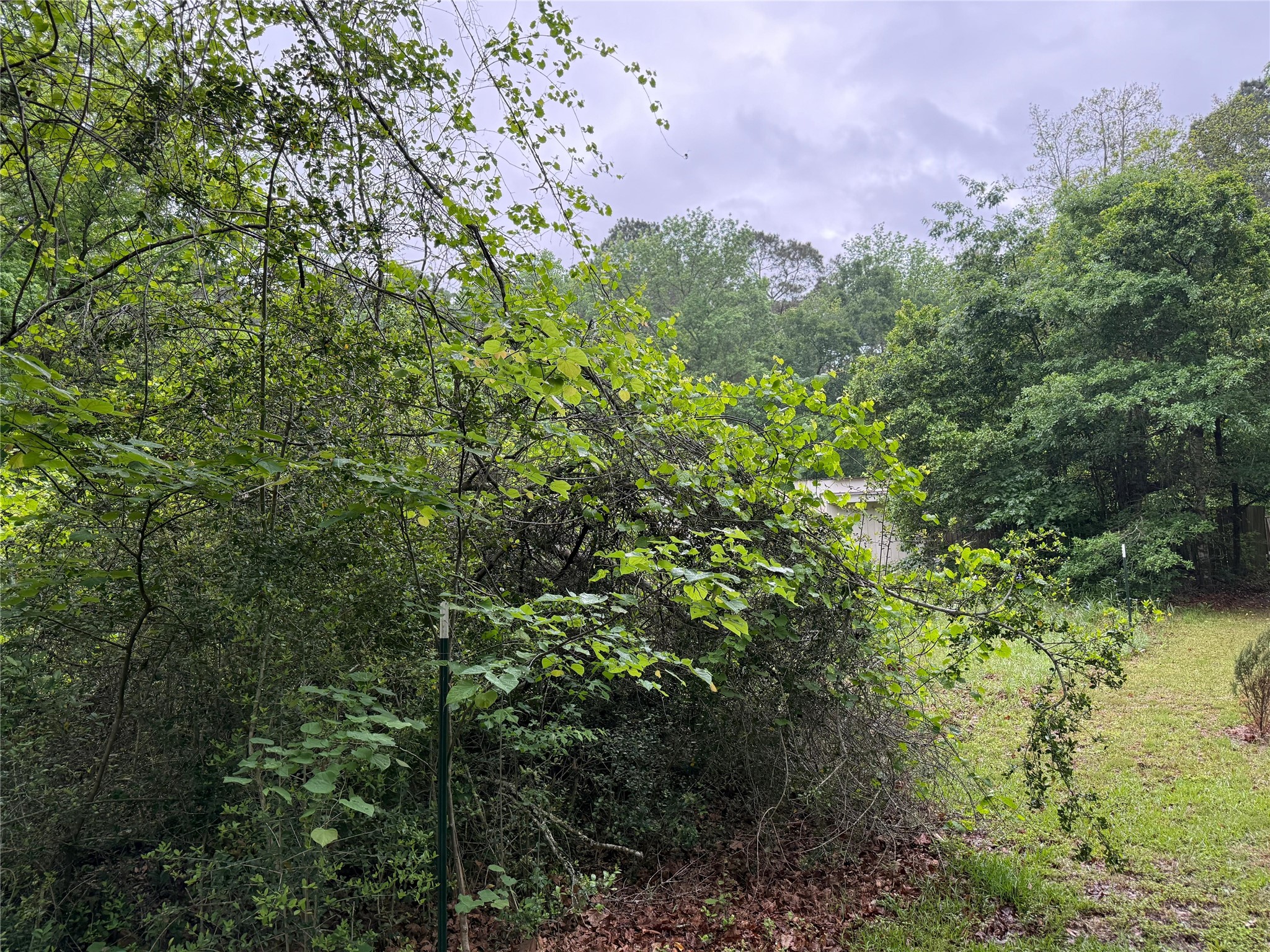 12144 FM 1484 Road Conroe, TX 77303 - Photo 13 of 39