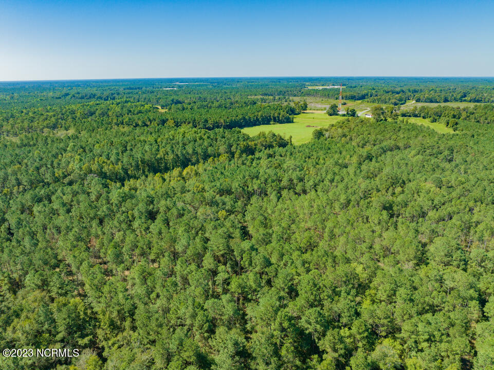 0 Trinity Church Road Magnolia, NC 28453 - Photo 12 of 47 12