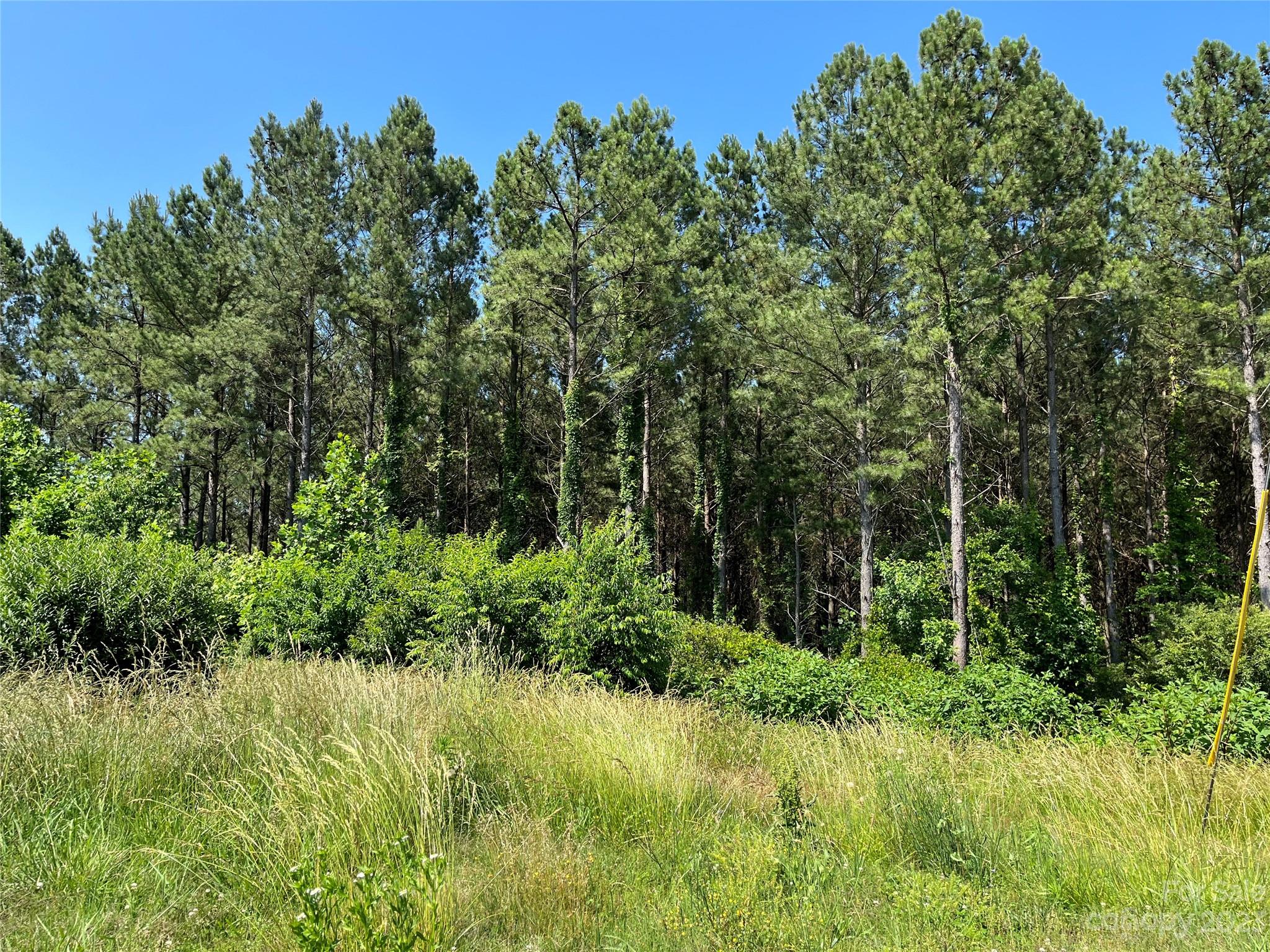 0 Sam Houser Road Vale, NC 28168 - Photo 21 of 22