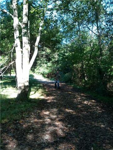 916 Baker Road Smyrna, TN 37167 - Photo 2 of 10