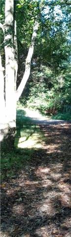 916 Baker Road Smyrna, TN 37167 - Photo 4 of 10