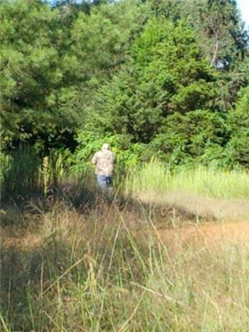 916 Baker Road Smyrna, TN 37167 - Photo 6 of 10