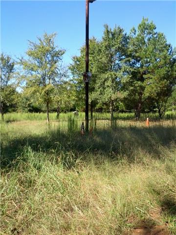 916 Baker Road Smyrna, TN 37167 - Photo 8 of 10