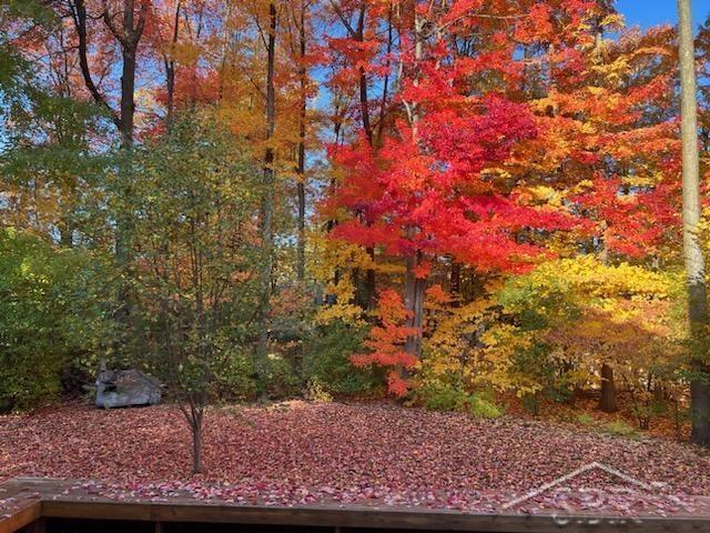 5201 Ridgeview Court Midland, MI 48642 - Photo 35 of 36 50119909-34.JPG