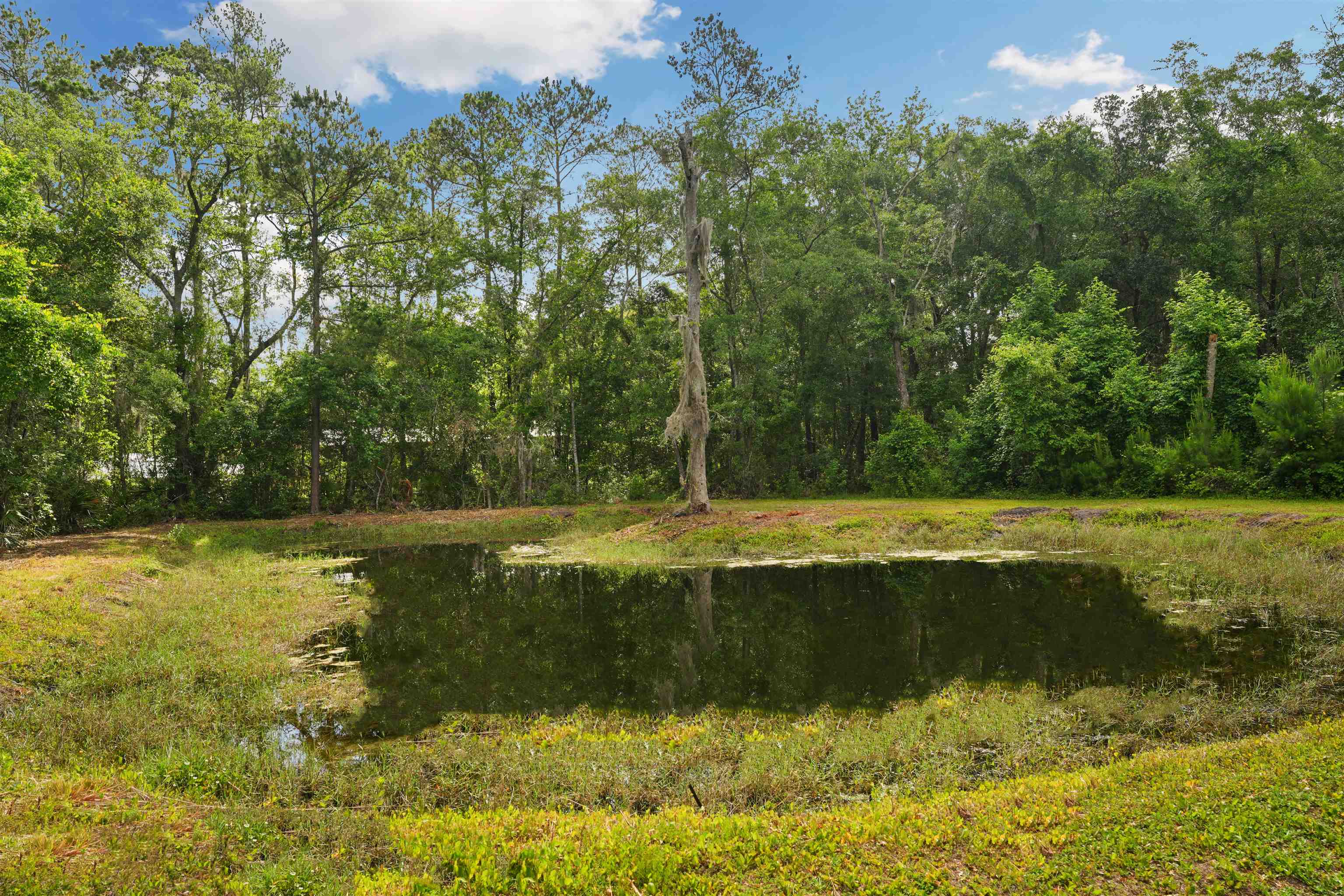 1805 Bennett Road St. Augustine, FL 32092 - Photo 52 of 65 a view of a swimming pool with a yard