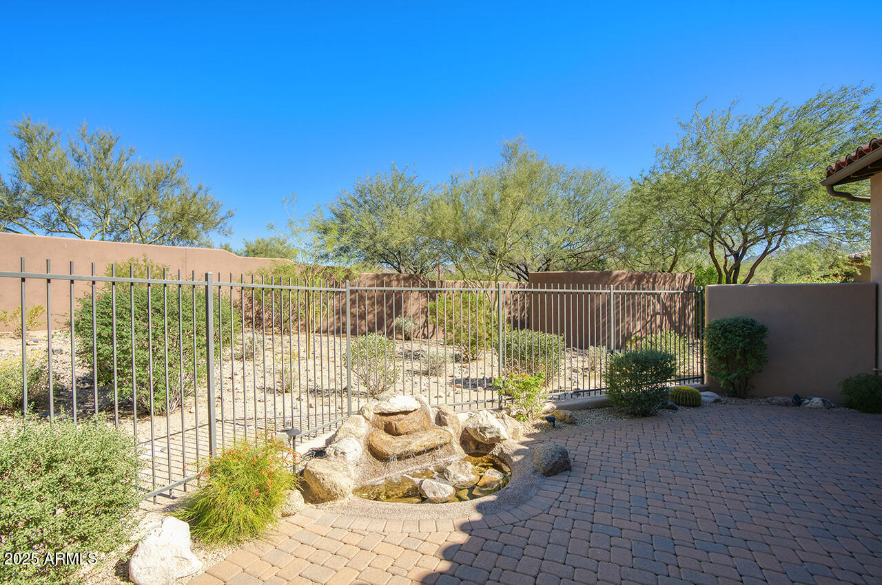 9190 East Hoverland Road Scottsdale, AZ 85255 - Photo 24 of 35 a view of a backyard with plants and trees
