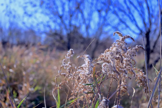 $349,999 | 139.57-ac County Hwy M, Browntown, WI 53522