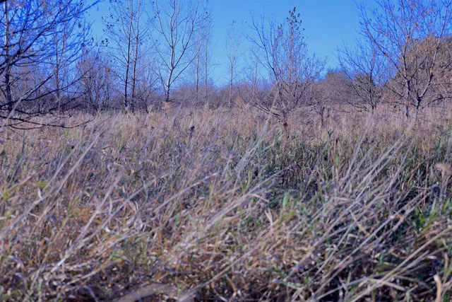 $349,999 | 139.57-ac County Hwy M, Browntown, WI 53522