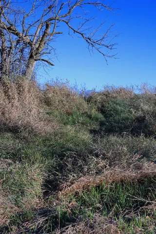 $349,999 | 139.57-ac County Hwy M, Browntown, WI 53522