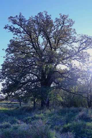 $349,999 | 139.57-ac County Hwy M, Browntown, WI 53522