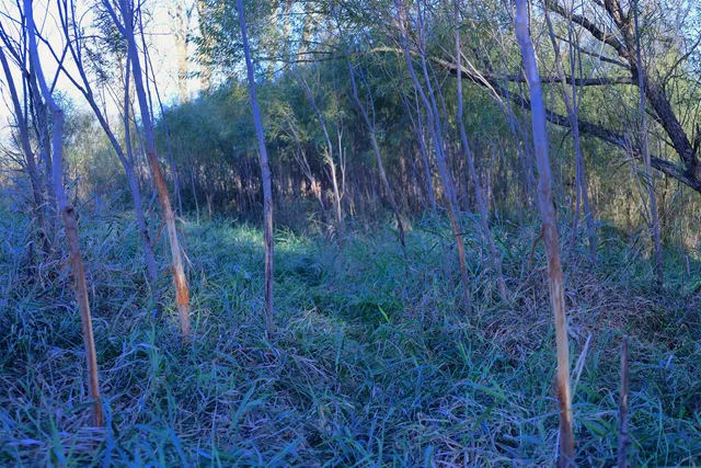 $349,999 | 139.57-ac County Hwy M, Browntown, WI 53522