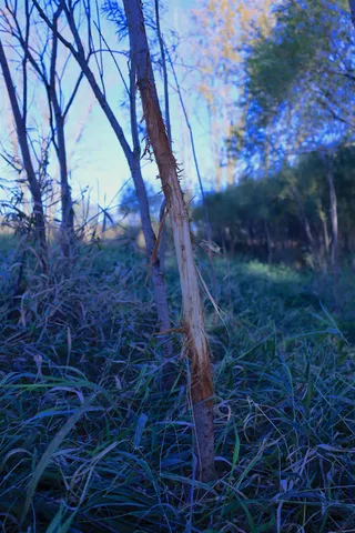 $349,999 | 139.57-ac County Hwy M, Browntown, WI 53522