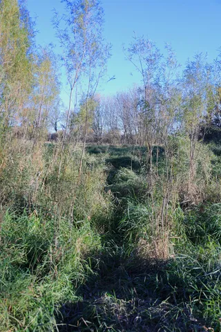 $349,999 | 139.57-ac County Hwy M, Browntown, WI 53522