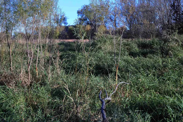 $349,999 | 139.57-ac County Hwy M, Browntown, WI 53522