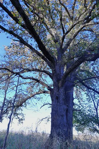 $349,999 | 139.57-ac County Hwy M, Browntown, WI 53522