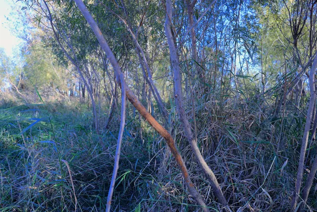 $349,999 | 139.57-ac County Hwy M, Browntown, WI 53522