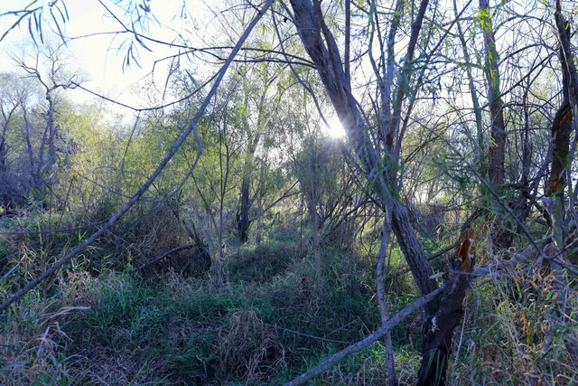 $349,999 | 139.57-ac County Hwy M, Browntown, WI 53522