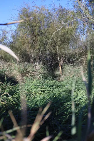 $349,999 | 139.57-ac County Hwy M, Browntown, WI 53522