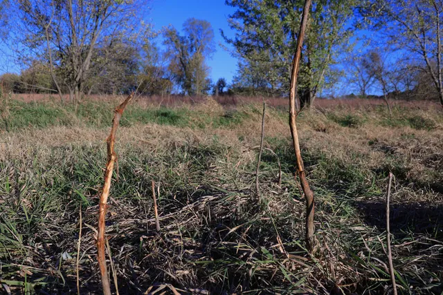 $349,999 | 139.57-ac County Hwy M, Browntown, WI 53522