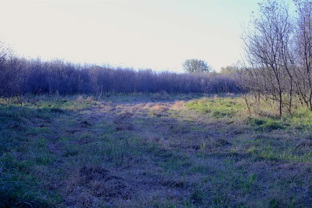 $349,999 | 139.57-ac County Hwy M, Browntown, WI 53522