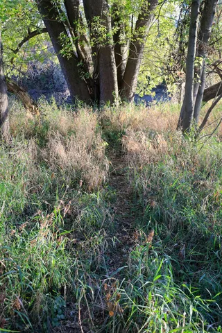 $349,999 | 139.57-ac County Hwy M, Browntown, WI 53522