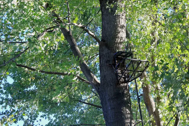 $349,999 | 139.57-ac County Hwy M, Browntown, WI 53522