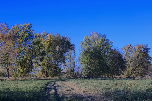 $349,999 | 139.57-ac County Hwy M, Browntown, WI 53522