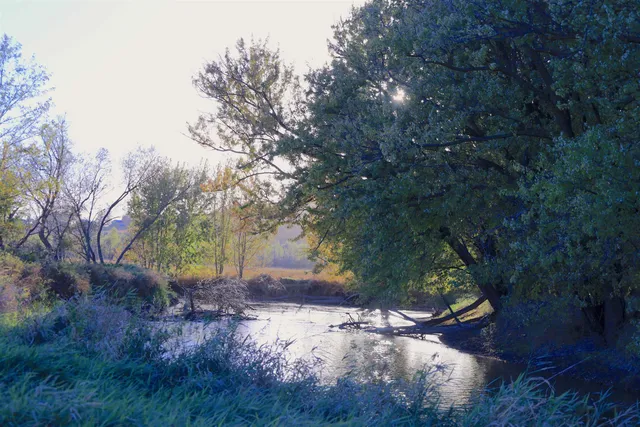 $349,999 | 139.57-ac County Hwy M, Browntown, WI 53522