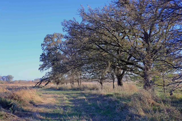 $349,999 | 139.57-ac County Hwy M, Browntown, WI 53522