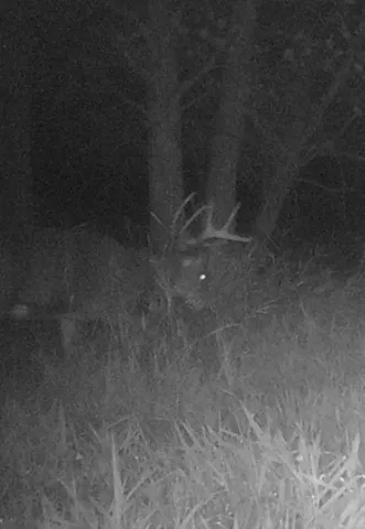 $349,999 | 139.57-ac County Hwy M, Browntown, WI 53522