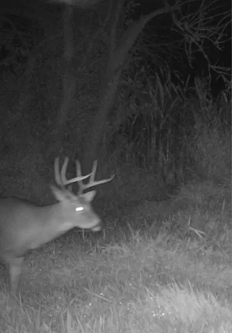 $349,999 | 139.57-ac County Hwy M, Browntown, WI 53522