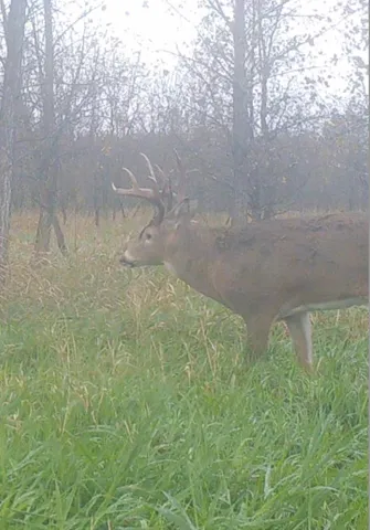 $349,999 | 139.57-ac County Hwy M, Browntown, WI 53522