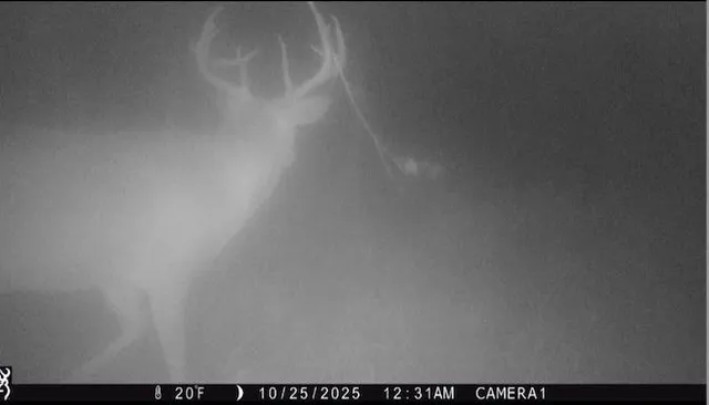 $349,999 | 139.57-ac County Hwy M, Browntown, WI 53522