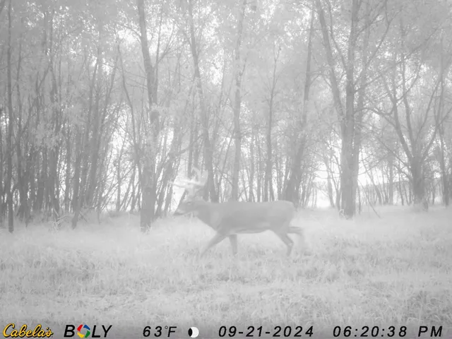 $349,999 | 139.57-ac County Hwy M, Browntown, WI 53522