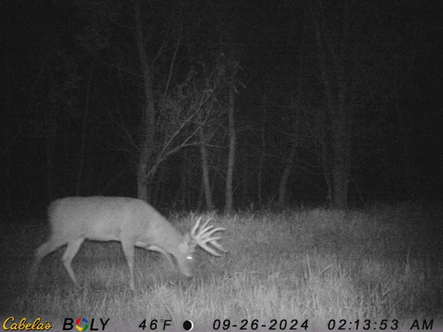 $349,999 | 139.57-ac County Hwy M, Browntown, WI 53522