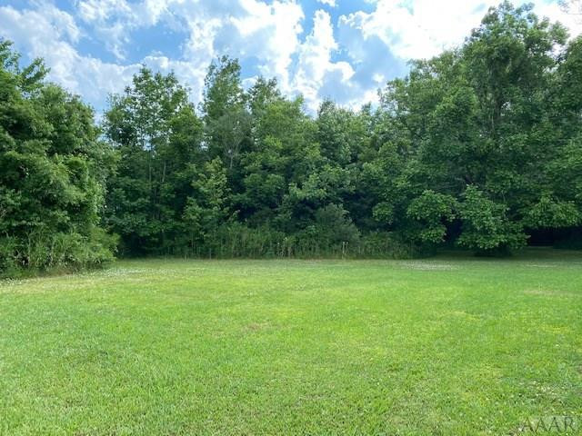 328 Long Ridge Road Plymouth, NC 27962 - Photo 8 of 34
