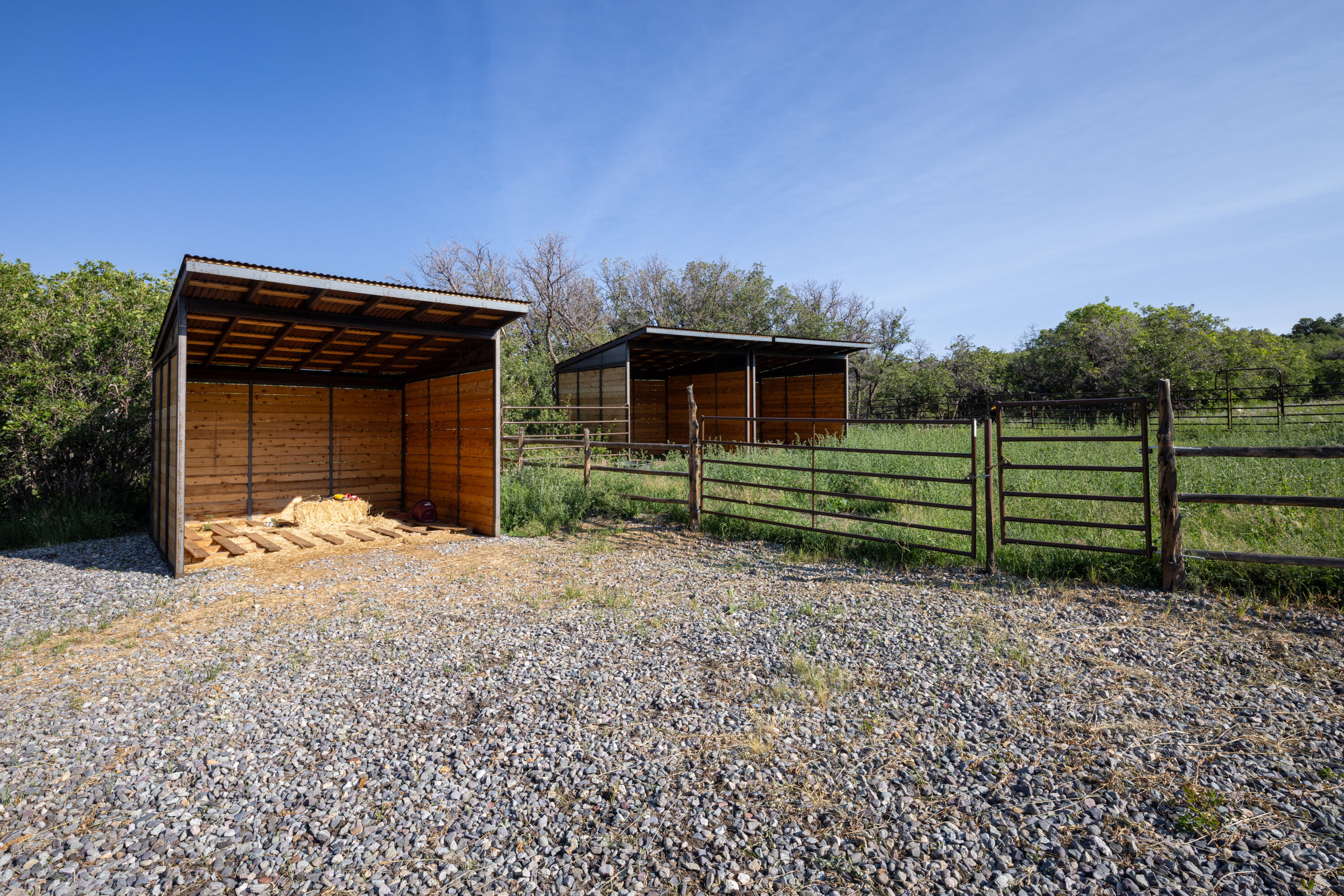 462 Dragon Lode Drive Placerville, CO 81430 - Photo 32 of 46 a front view of a house with a yard