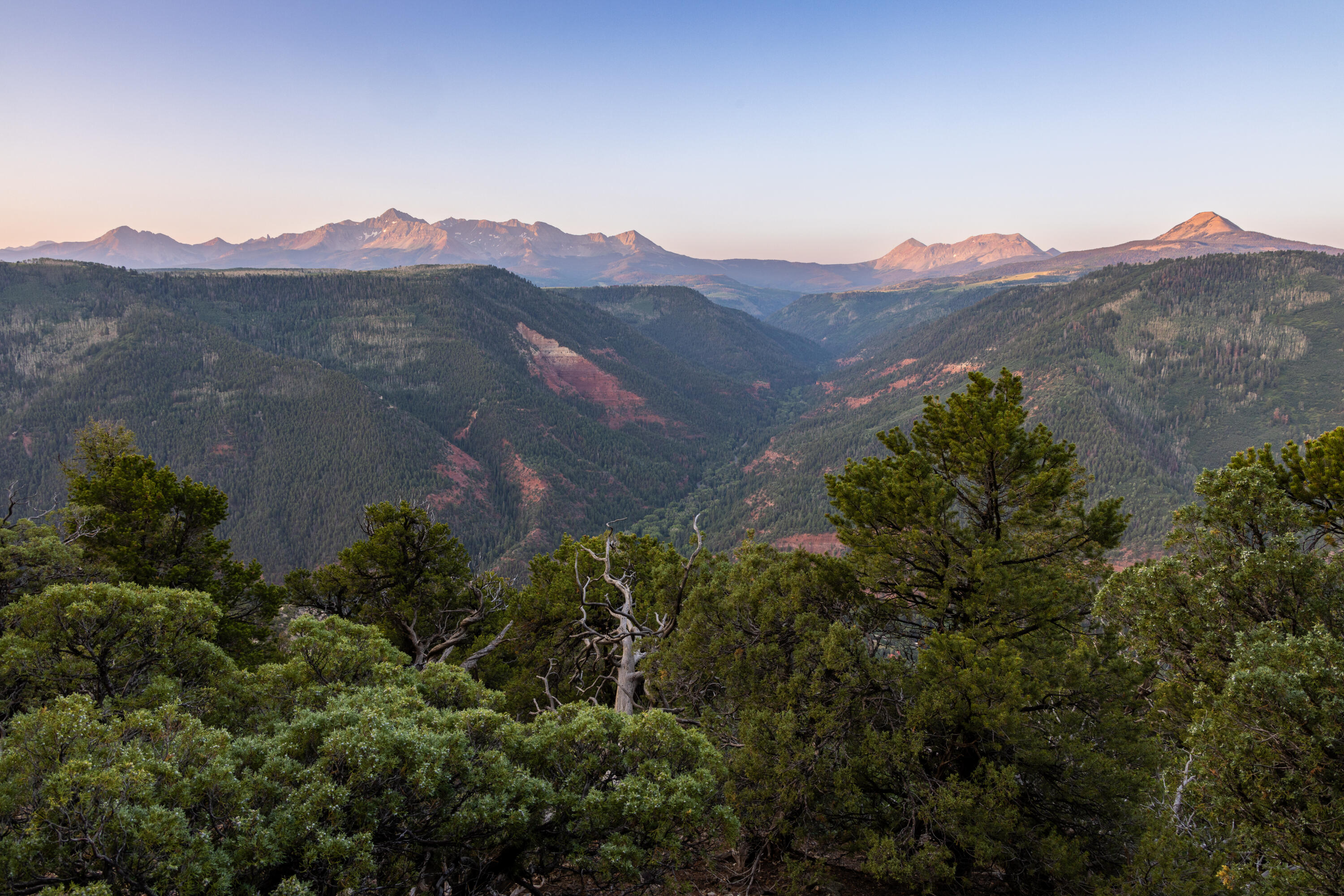462 Dragon Lode Drive Placerville, CO 81430 - Photo 33 of 46 an aerial view of houses with a street and green space