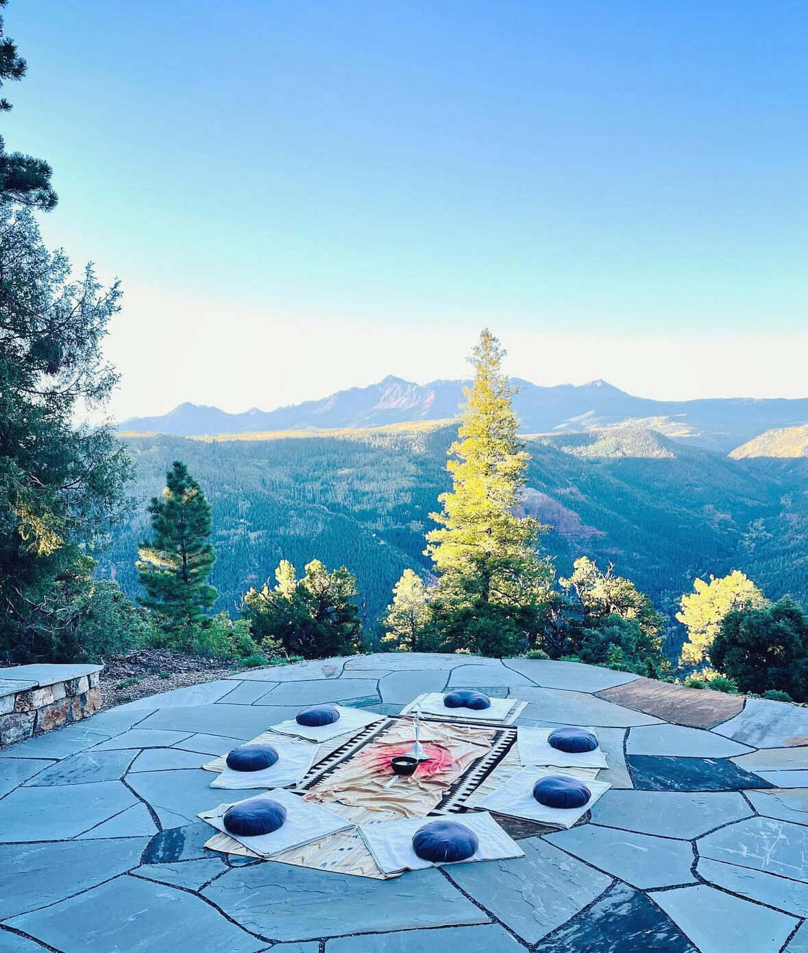 462 Dragon Lode Drive Placerville, CO 81430 - Photo 8 of 46