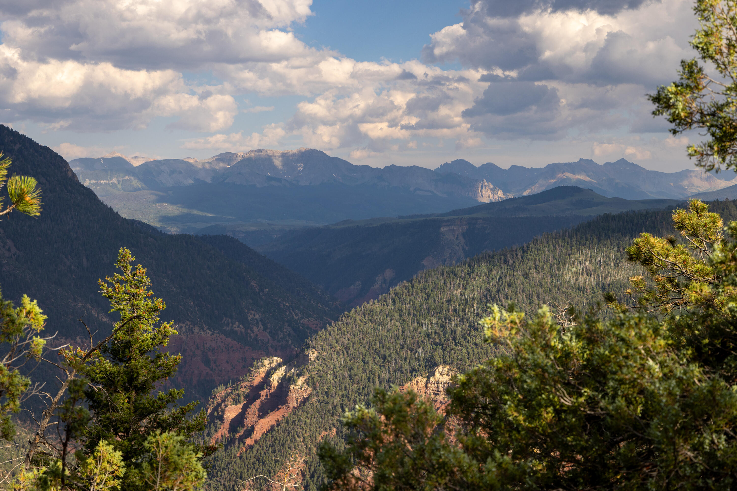 462 Dragon Lode Drive Placerville, CO 81430 - Photo 10 of 46 a view of a lake with a mountain