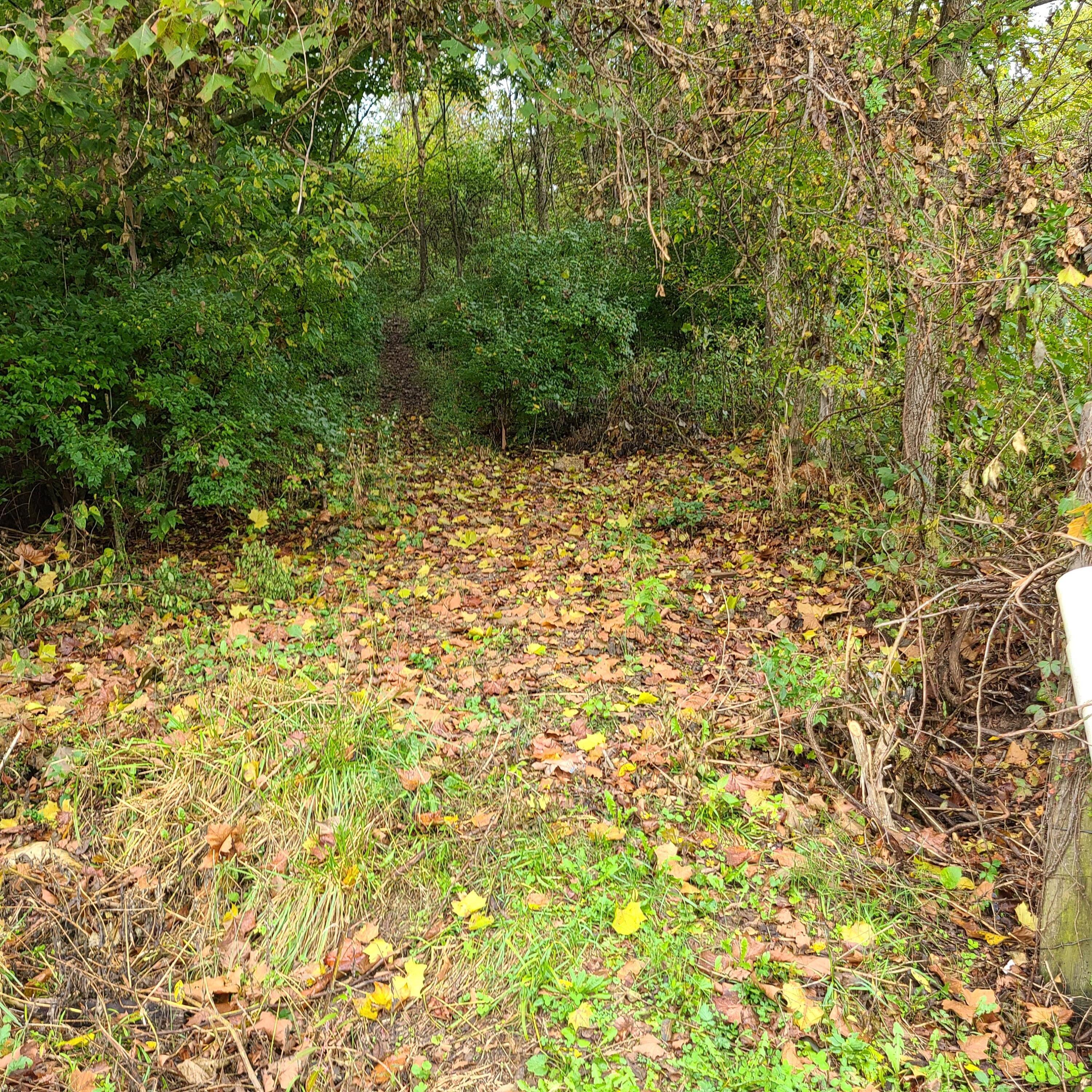 955 Old Ruckerville Road Winchester, KY 40391 - Photo 10 of 10 7