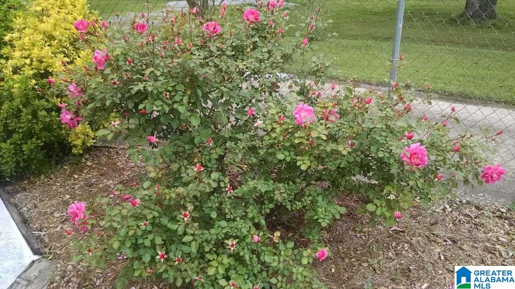 411 Collum Street Jemison, AL 35085 - Photo 16 of 41