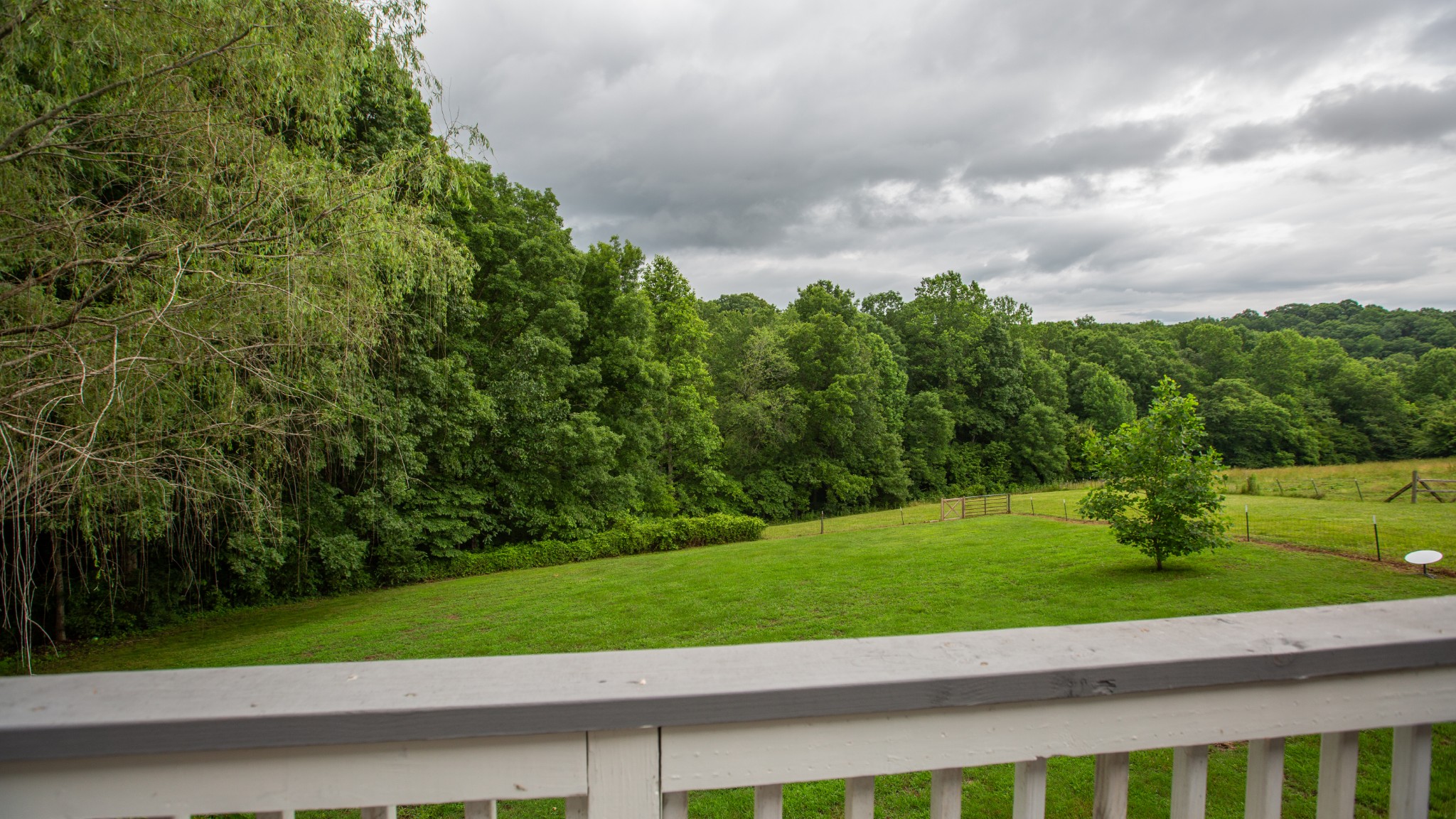 7993 Shoals Branch Road Primm Springs, TN 38476 - Photo 3 of 25 a view of a yard